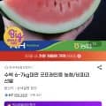 수박6~7kg미만 농협 18,850원(무료배송)