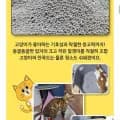 모찌네모래 무향 4L x 6개 18.6kg 벤토나이트 외 다양