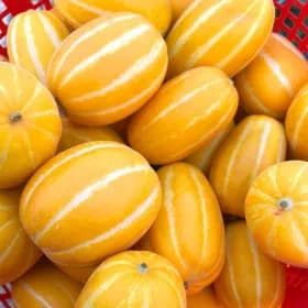 성주 꿀참외 5kg