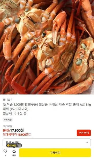 자숙 박달 홍게 A급 6kg