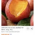 초고당도 침샘폭발 자두 햇자두 500g