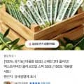 엑스트라버진 올리브오일 스틱 50포