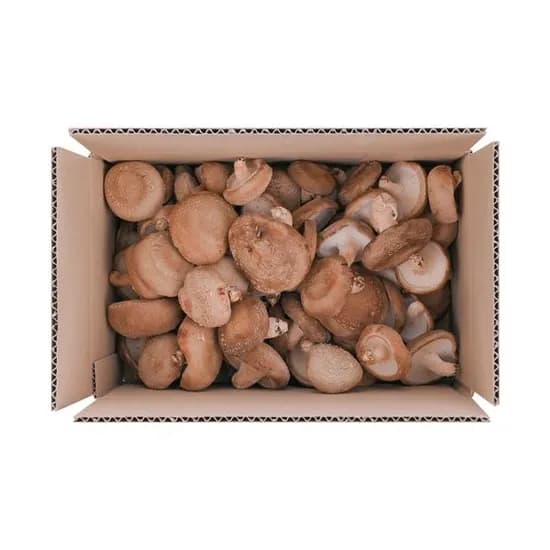 표고버섯 못난이 1kg (7,900원/무료)