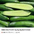 국내산 미니오이 kg (5,900원/무료)1