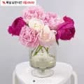 작약꽃 5송이 (9,900원/무료)
