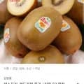 제스프리 레드키위 중과 21과 1.8kg