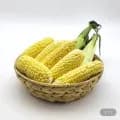 햇 초당 옥수수 9-14cm 10개입