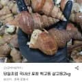 포항 백고동 살고동 2kg