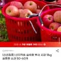 산지직송 실속형 부사 사과 9kg 소과 50~60과