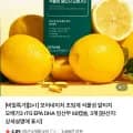 초임계 식물성 알티지 오메가3 2+1 총 3개