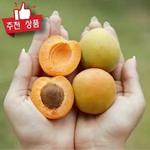 국산 유기농 살구 300gx 2팩