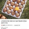 난각번호1번 계란 유정란 20구 달걀 무항생제 (8,810원/멤버십무료)