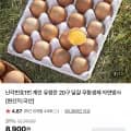 계란 유정란 20구