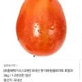 국내산 햇 대추방울토마토 로얄과 2kg (8,120원/무배)
