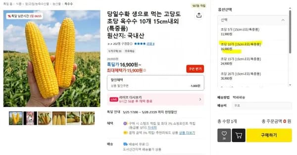 초당 옥수수 10개 15cm내외(특중품)(15,900원/무배)