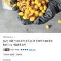 은행튀김+대추칩 150g 2팩 (9,00원/무료)3