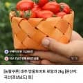 대추 방울토마토 로얄과 2kg(7420원/무배)