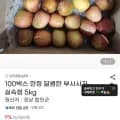 일반 부사사과 5kg