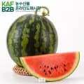 하우스 꿀 수박 가정용 3-4kg 내외 (13,640원/무료)