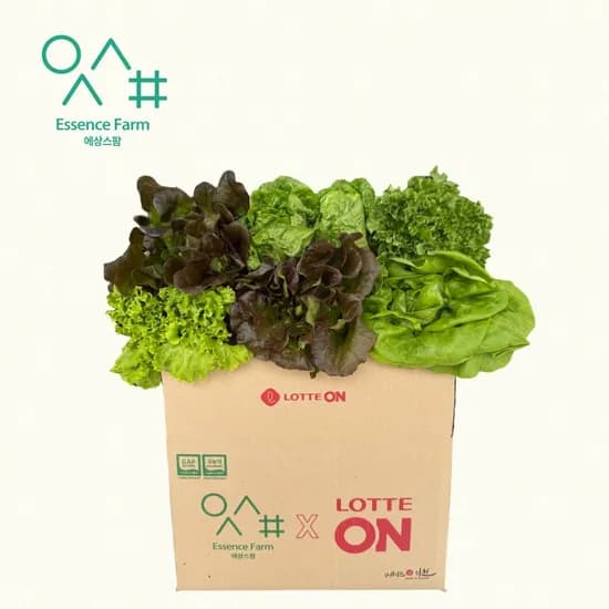 유러피안 샐러드 1kg (5,990원/무료)
