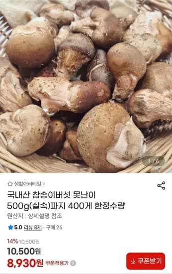 국내산 참송이버섯 몬난이 500g (8,930원/무료)