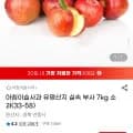 부사사과 소과 7kg(33-60) 외 다양