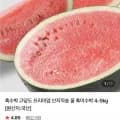 프리미엄 고당도 흑미수박 5kg (2,900원/무배)3