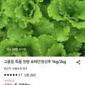로메인 상추 특품 외 다양 1kg
