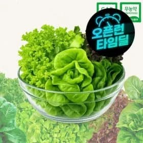무농약 유러피안 샐러드 채소 1kg(-6종) (5,140원/무료)3