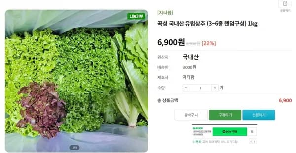 국내산 유럽상추 외 다양 1kg 3개