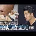 제품명 외 다양 브랜드 모델명 이벤트기간 옵션 수량정보예시 적용:삼성 갤럭시 S23 다양 블루 128GB 500g 총 10개결과 적용 예시 (구체적인 정보 필요):제품명 다양 브랜드명 모델명 이벤트기간 블루 128GB 총 20개