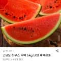 고당도 하우스 수박 6kg 외 다양