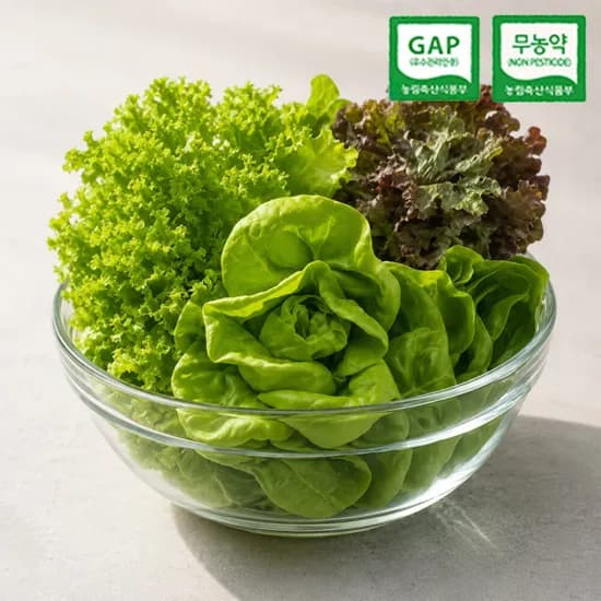 친환경 GAP 무농약 유럽 샐러드 채소 kg (3-6종) 외 다양, 총 5kg
