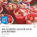 경북 사과 쥬스용 혼합 랜덤 (9kg 내외, 외 다양)
