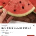 고당도 수박 4~5kg 외 다양