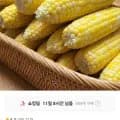 국내산 고당도 초당옥수수 외 다양 20개