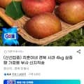 경북 사과 부사 4kg 외 다양