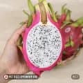 프리미엄 직수입 용과 외 다양, 베트남 생 용과 2kg