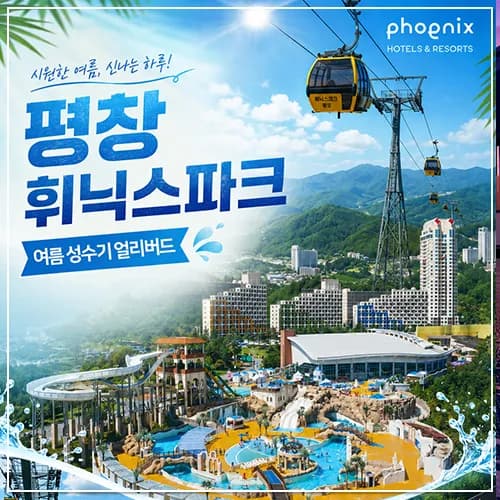 평창 휘닉스파크 워터파크 더블액티비티 스탠다드 2인 패키지 외 다양 (12인용)