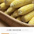 국내산 제철 초당옥수수 외 다양 10개 (9,910원)