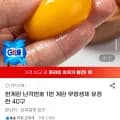 무항생제 유정란 난각번호 1번 계란 40구