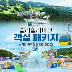 웰리힐리파크 워터파크 익스트림 객실 PKG 외 다양, 수량 1개