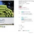 백다다기 백오이 특 2kg 외 10개