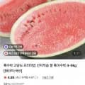 국산 흑미수박 5kg 외 다양 2개