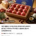 대만 완숙 애플망고 1.25kg 외 다양 4과