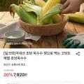 고당도 초당옥수수 외 다양 5개 (7,920원)