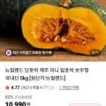 뉴질랜드 단호박 2kg (외 다양)