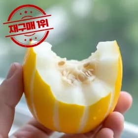 성주참외 혼합 외 다양 5kg