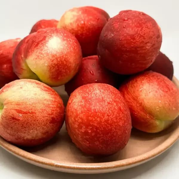 신비복숭아 외 다양 2kg 중소과 12개