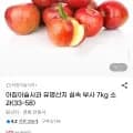 경북 부사사과 외 다양 소과 7kg (33-60개)